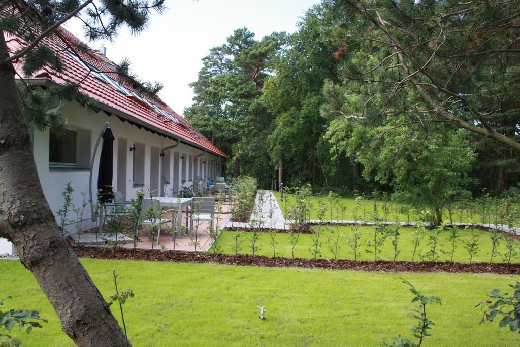 Haus Düne31 Apartment Ostseebad Binz
